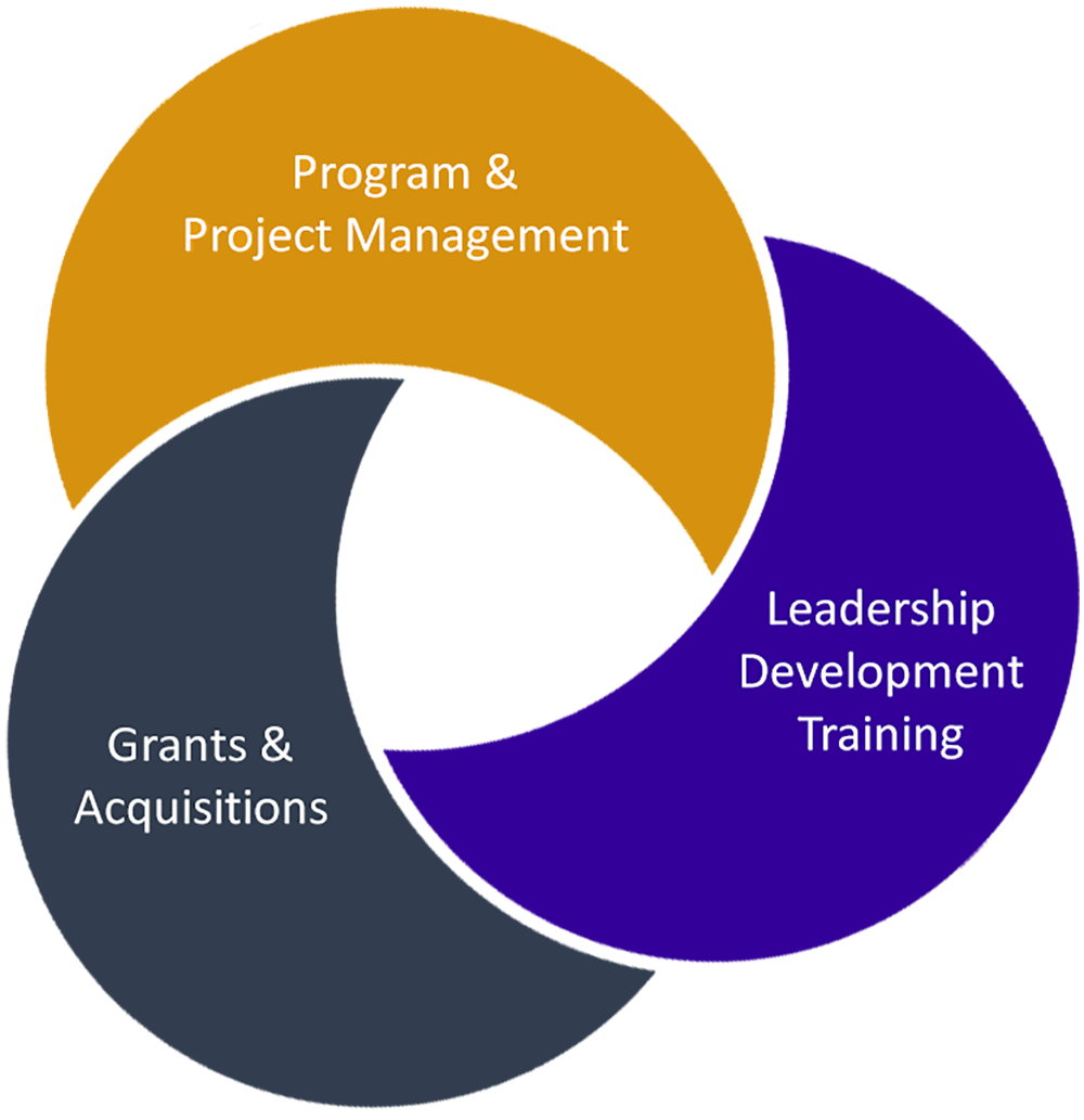 Smart1 capabilities include Program & Project Management, Grants & Acquisitions, and Leadership Development Training